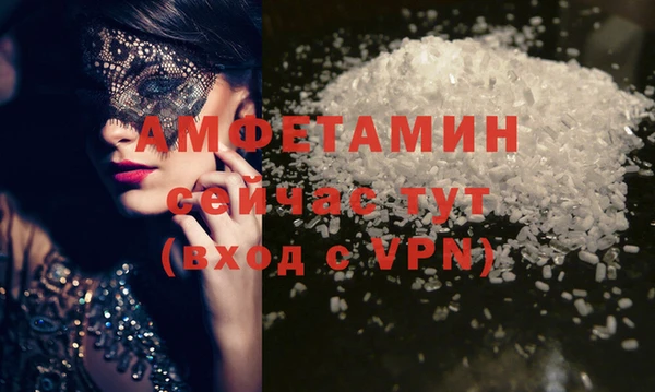 ГАЛЛЮЦИНОГЕННЫЕ ГРИБЫ Осинники