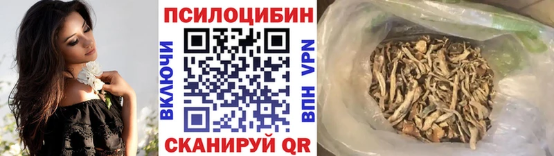 ОМГ ОМГ ТОР  как найти закладки  Амурск  Псилоцибиновые грибы Psilocybe 