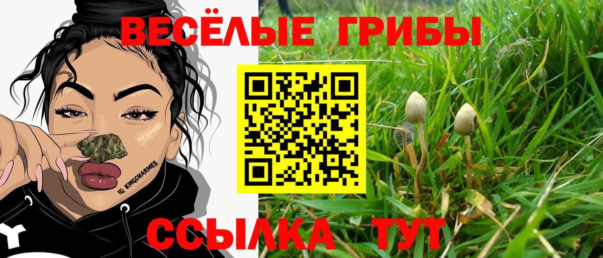 Амурск  Псилоцибиновые грибы Psilocybine cubensis  Псилоцибиновые грибы мицелий  купить наркотик  Вход с VPN 