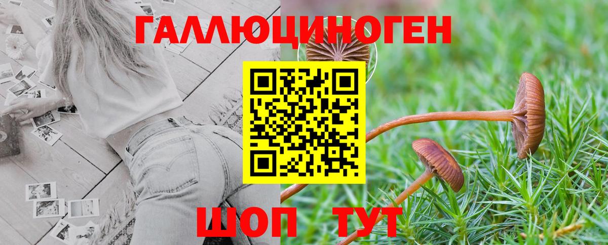 Псилоцибиновые грибы мицелий  Вход с VPN  Амурск  Галлюциногенные грибы Psilocybe 